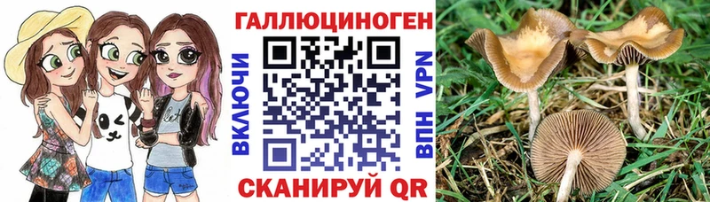 Галлюциногенные грибы GOLDEN TEACHER  Серпухов 